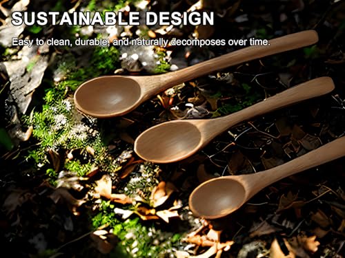 6-Piece Handcrafted Beech Wood Spoon Set - Assorted Sizes for Tea & Honey