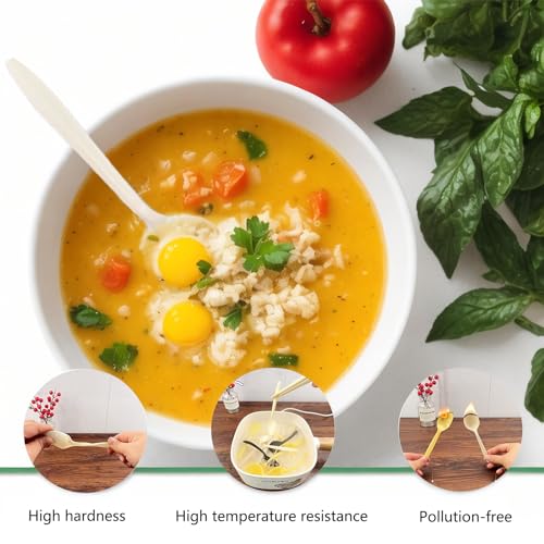 T Legend Eco-Friendly 50 Pack Cornstarch Soup Spoons - Large 5.3" Disposable Utensils for Hot Soup & More