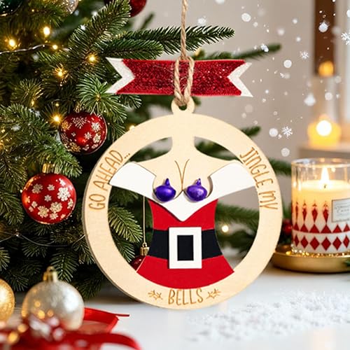 Funny Christmas Ornaments - Humorous Wooden Tree Decor Gifts