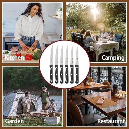 JINLIFA Stainless Steel Steak Knives Set of 6 with Unique Blade Patterns