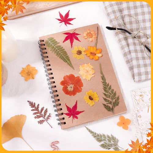 100 Pcs Real Natural Dried Pressed Flowers – Orange Botanical Decor