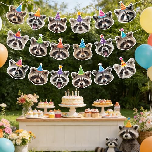 Raccoon Birthday Banner Set | 3 Pre-Strung Party Decorations