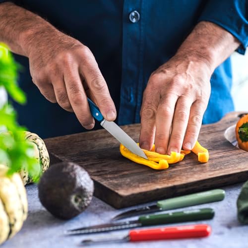 Opinel 112 Assorted Sweet Pop Colors Paring Kitchen Knives (Set of 4)