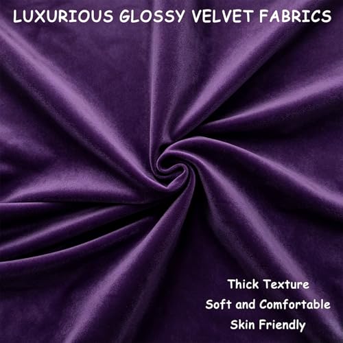 Bunliuys 2 Pack 18x18 Velvet Throw Pillow Covers - Eggplant Purple