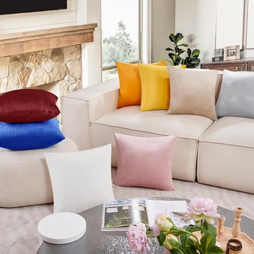 Deconovo Velvet Throw Pillow Covers - 2 Pack, 26x26 Inch, Wine Red