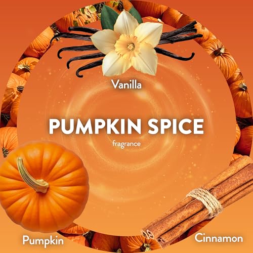 Air Wick Pumpkin Spice Scented Oil Refill, 5 Count - Essential Oils