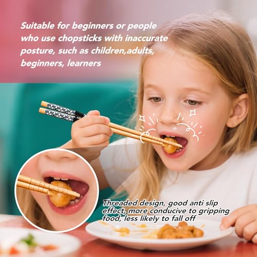 EAEDMY 5 Pairs Japanese Pattern A Training Chopsticks Set