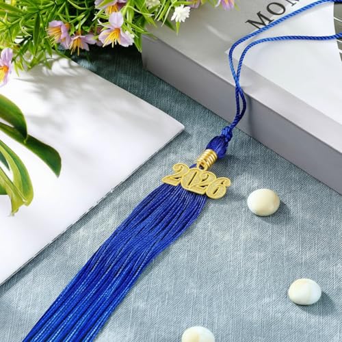 Dingion 2 Pcs Royal Blue Graduation Tassel Class of 2026 Cap Decoration