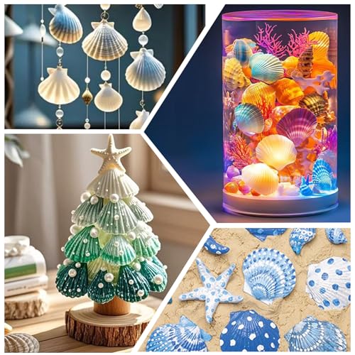 30 Natural Scallop Shells 2.3-3'' for DIY Crafts & Home Décor