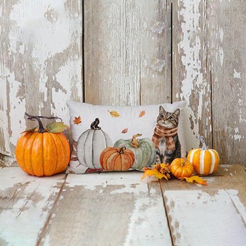 Fall Lumbar Pillow Cover 12x20 Cat and Pumpkin Autumn Farmhouse Decor