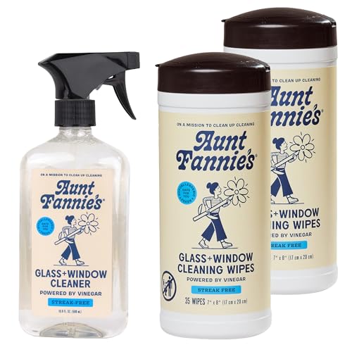 Aunt Fannie's Glass & Window Cleaning Bundle with Spray and 2 Wipes