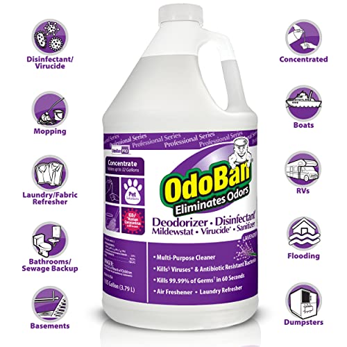 OdoBan Lavender Disinfectant Concentrate - 4 Gallons