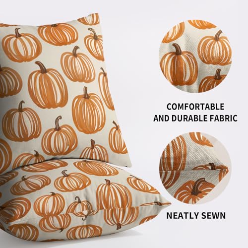 Fall Thanksgiving Pillow Covers Set of 2 - 18x18 Burnt Orange Pumpkin
