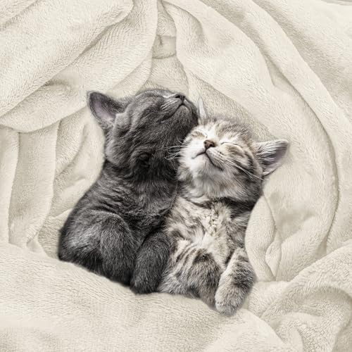 Utopia Bedding Ultra Soft Fleece Blanket - Twin Size (60x80), Linen