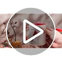 Christmas Cardinal Gift Mug 11oz with Snowy Branch - Holiday Ceramic Cup - Cardinal Bird Variation