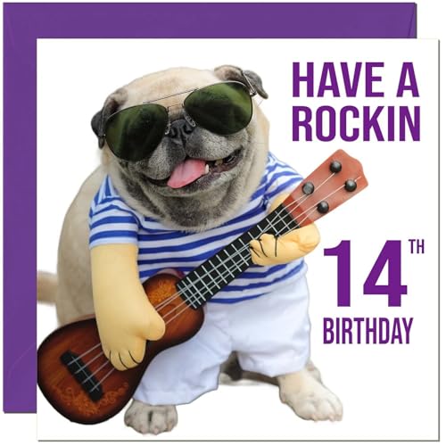 Funny Rock n Roll Pug Dog Birthday Card for 14-Year-Olds