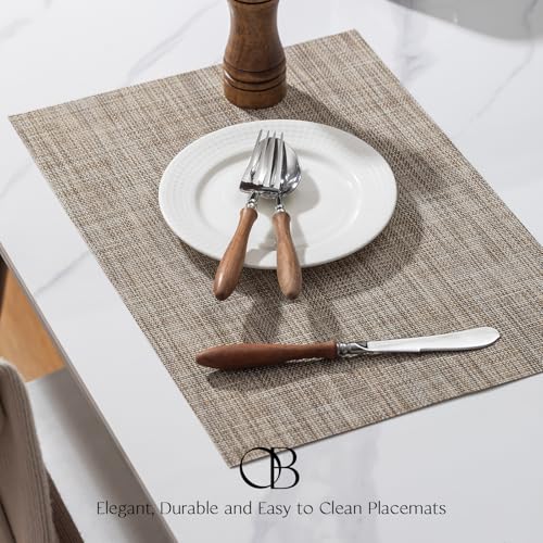 Onebento Woven Vinyl Placemats - Caramel, Set of 4, 17x12 inch Table Mats