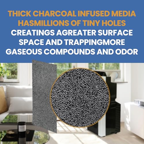 Pokin 2 Pack ARC-14S Activated Carbon Air Filters for Whynter Portable AC