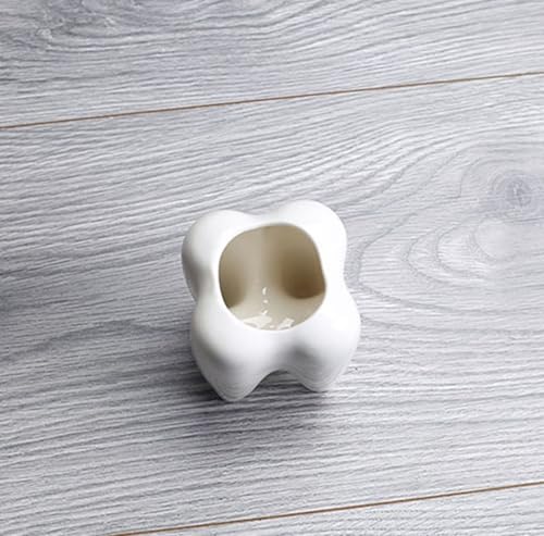 Ceramic Tooth-Shaped Toothbrush Holder and Succulent Planter