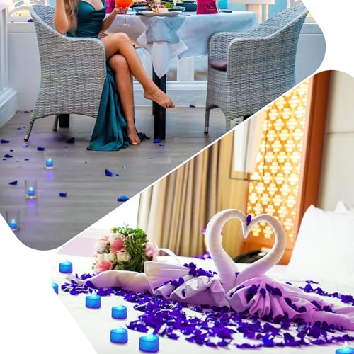 1000pcs Blue Artificial Rose Petals & 12 LED Tea Lights for Decor
