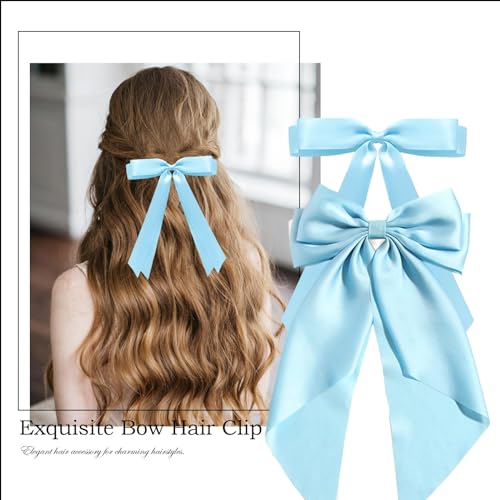LYDZTION Satin Hair Bow Clip Set with Tassel Ribbons - Blue