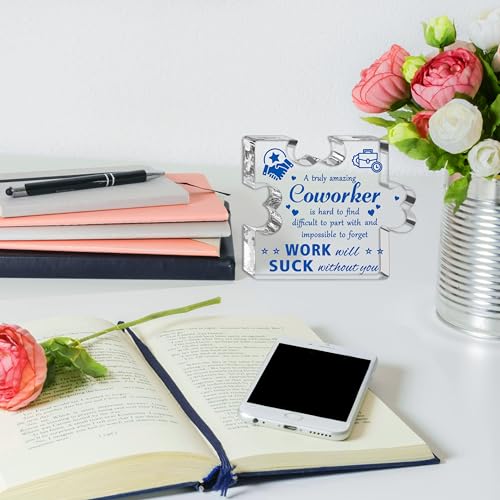 Inspirational Farewell Plaque Gift for Coworkers | Clear Acrylic Keepsake