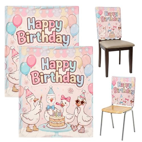 Silly Goose Birthday Chair Covers - 2 Pack, 19" x 23" Reusable Decor for Classroom Parties