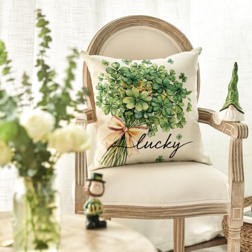 AVOIN colorlife St Patrick's Day Lucky Clovers Throw Pillow Cover 18x18 Inch Shamrock Cushion Case for Sofa Couch - Variation 1