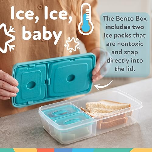 Nuby Stars Themed Insulated Kids Lunchbox & Travel Bag - Back to School
