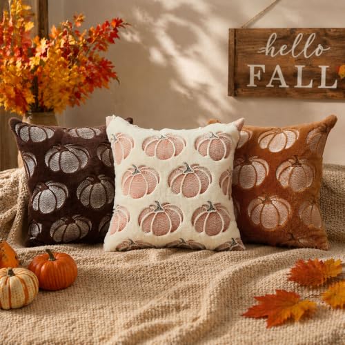 DFXSZ 18x18 Rust Pumpkin Fall Pillow Covers Set of 2 Plush Autumn Home Decor