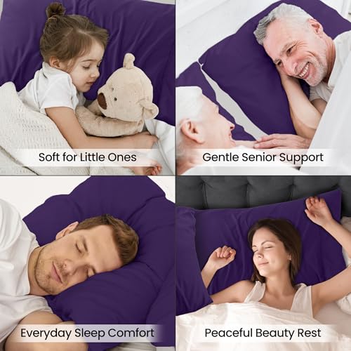 Eggplant Queen Pillow Cases Set of 4 - Ultra Soft Microfiber Covers