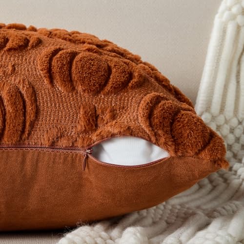 DFXSZ Rust Fall Pumpkin Throw Pillow Covers, 18x18 Soft Plush Set of 2