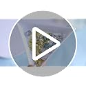 OSTTMA 100Pcs Summer Nail Charms 3D Seashell Starfish Pearls Rhinestones