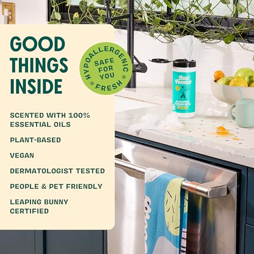 Aunt Fannie's Eucalyptus Cleaning Vinegar Wipes - 35 Count