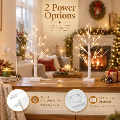 2FT Birch Tree Christmas Decor with LED Lights - Battery Powered Fairy Light Spirit Tree - 4 Pack