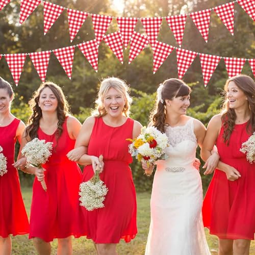 Red and White Checkered Pennant Banner Garland for Parties