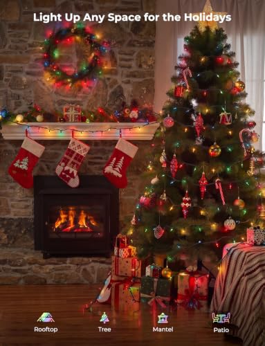 Multicolor Christmas Lights 20FT Incandescent String Lights - 100 Count