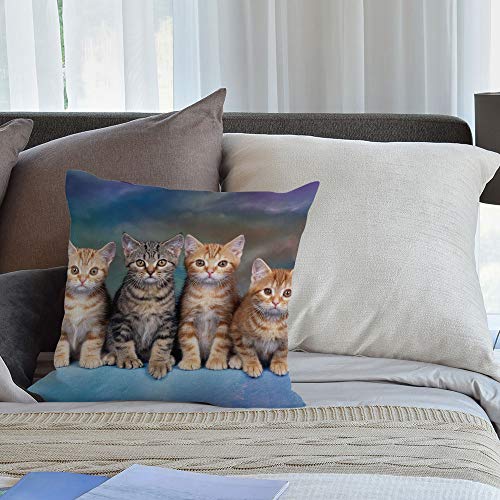 Cute Cat Pillowcase - 18x18 Inch Zippered Cushion Cover