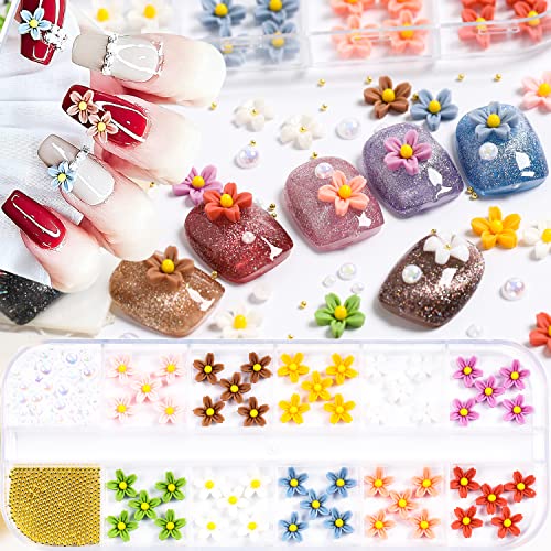 Tyemp 3D Flower Nail Charms Kit with Rhinestones and Caviar Beads