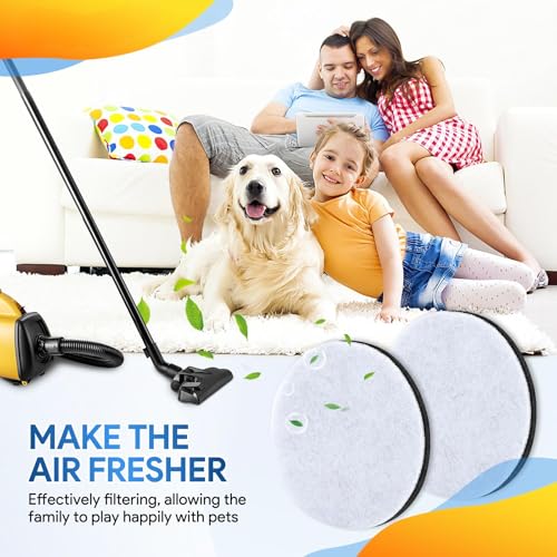 Replacement Vacuum Filters for Eureka 3670M Series Canister Vacuums, 6 Pack