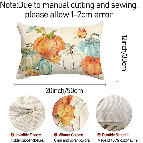 RABUSOFA Fall Pumpkin Pillow Cover, 12x20 Inch Autumn Thanksgiving Decor