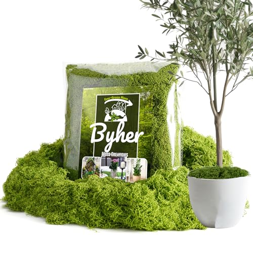 BYHER 7OZ Fake Moss for Indoor Plants & Crafts - Lifelike Greenery