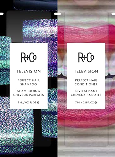 R+Co TELEVISION Perfect Hair Shampoo – Hydrating & Smoothing Cleanser