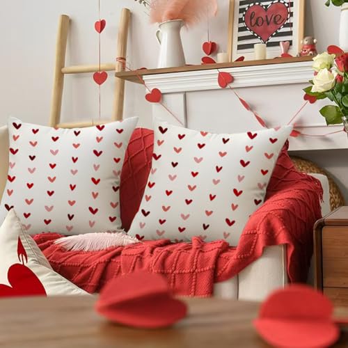 RABUSOFA Beige Valentine's Day Pillow Covers 18x18 Inch Set of 2