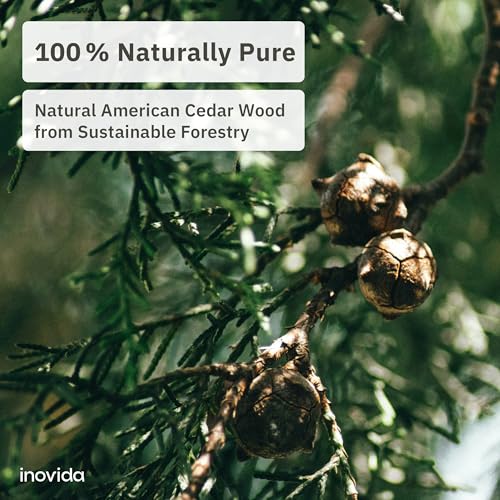 Cedar Wood Blocks – Natural Freshener for Clothes & Storage – 16 Pack
