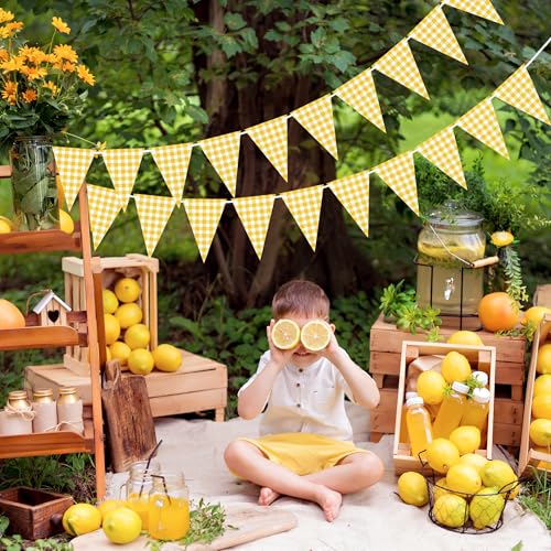 VILIFEVER Yellow Gingham Banner for Picnic, BBQ Party Decorations