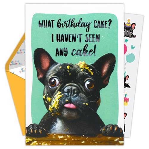 Humorous Dog Birthday Card Set - 5x7in Embossed Design with Stickers