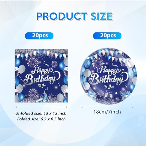 Navy Blue and Silver Birthday Party Tableware Set - Plates and Napkins