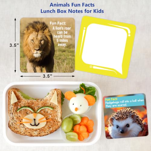 90 Pack Lunch Box Notes for Kids - Animal Jokes, Fun Facts & Encouragement