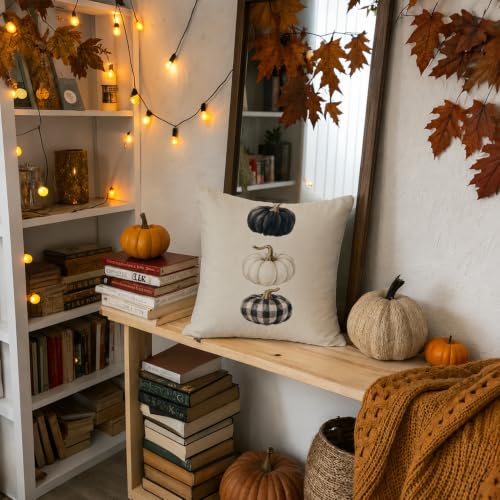 White Pumpkin Fall Pillow Cover 18x18 Inch - Cozy Autumn Sofa Decor Fall10